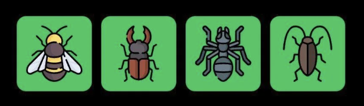 FLIES Daily Combo 29 June 2025